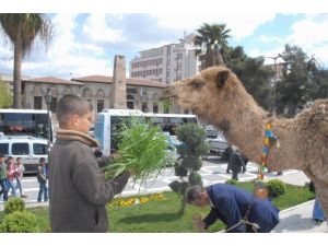 Şanlıurfa’da Develi Kermes Tanıtımı Yoğun İlgi Gördü