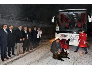 Zigana’da İlk Turist Kafilesi İçin Kurban Kesildi