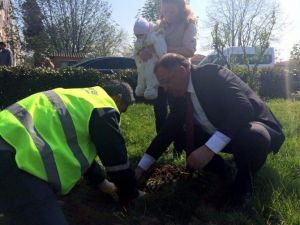 Yalova Belediyesi Doğan Her Bebek İçin Fidan Dikiyor