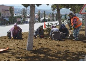 Bozüyük’te Yeşil Alanlar Bahara Hazırlanıyor