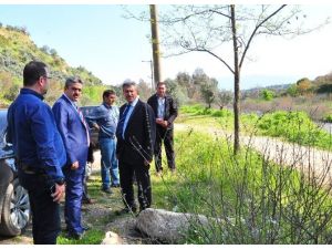 İsabeyli Mahallesinde Piknik Alanları Bakıma Alınıyor