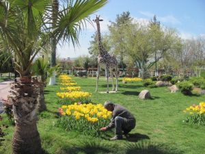 Araban Belediyesi Parkta Yaza Hazırlık Çalışması Başlattı