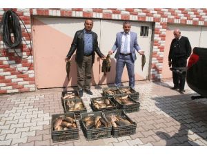 Yasak Dönemde Balık Avlayan Şahıslar Yakalandı