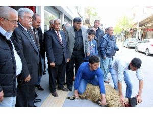 CHP Seçim Bürosu Açtı