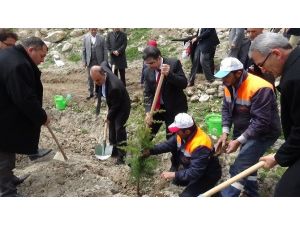 Konya’da 75 Bin Fidan Dikildi