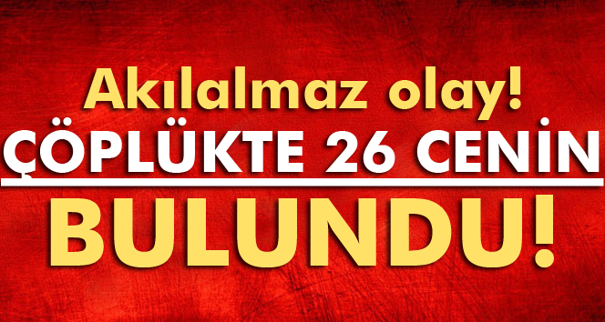 Akıl Almaz Olay Adana'da çöplükte 26 cenin bulundu