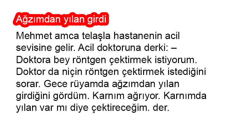 Ağzımdan yılan girdi