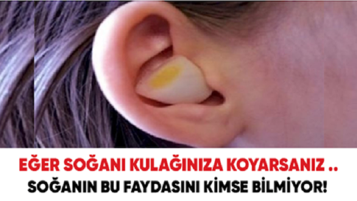 Soğanın inanılmaz faydaları eğer kulağınıza koyarsanız bakın neler oluyor!