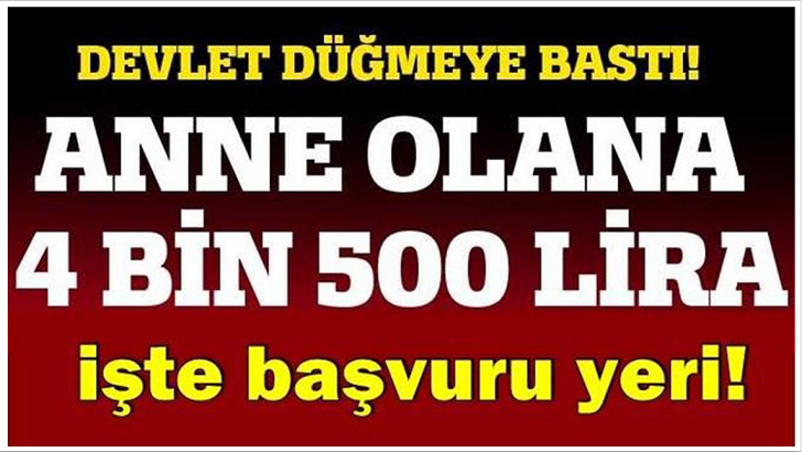 Devletten Anne Olana Tam 4 bin 500 lira