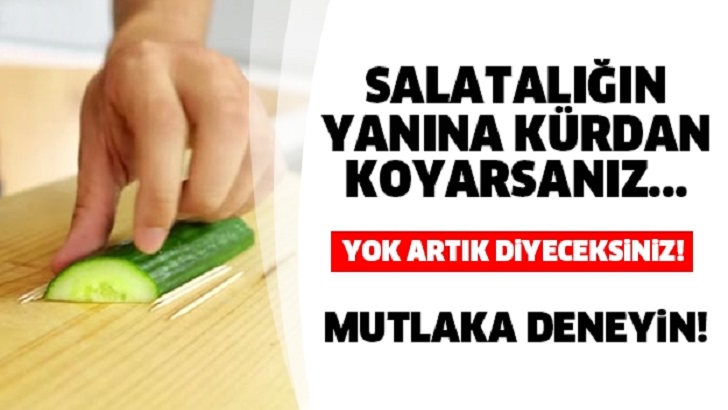 SALATALIĞIN YANINA KÜRDAN KOYARSANIZ... YOK ARTIK DİYECEKSİNİZ!