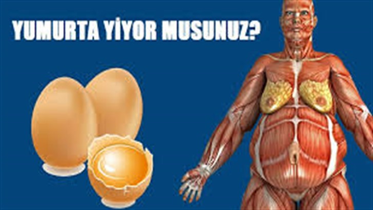 DOKTOR GÜNDE İKİ YUMURTA YEMESİNİ SÖYLEDİ VÜCUDUNDAKİ DEĞİŞİKLİKLERE O BİLE İNANAMADI