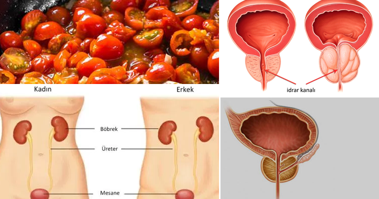 KABAK ÇEKİRDEĞİ VE DOMATESİ 15 DAKİKA PİŞİRİP YEDİĞİNİZDE BAKIN NELER OLUYOR