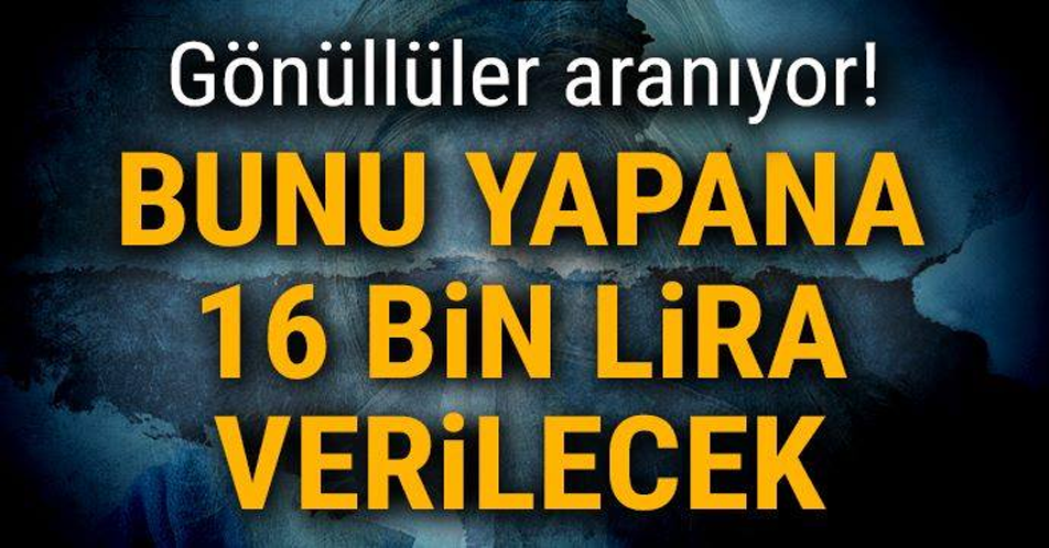 GÖNÜLLÜLER ARANIYOR! BUNU YAPANA 16 BİN LİRA VERİLECEK