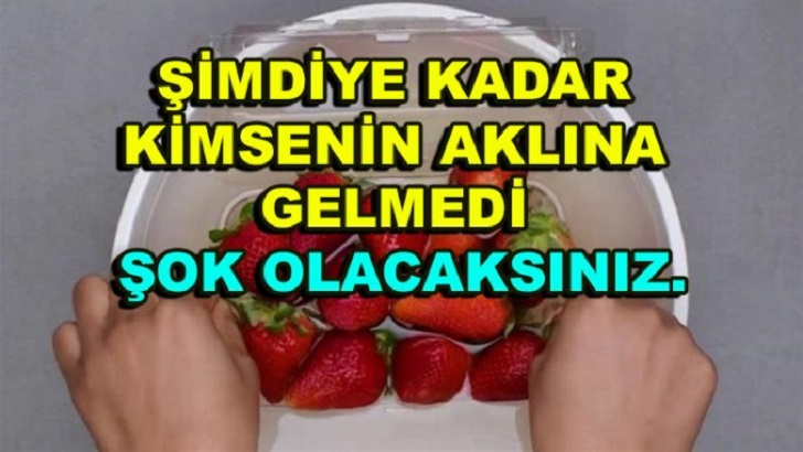 BAKIN NE OLUYOR  ÇİLEĞİ SİRKELİ SUYA BATIRIN,