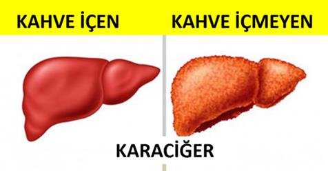 Bilim Adamları Tarafından Kanıtlanmış Kahvenin 9 Faydalı Özelliği