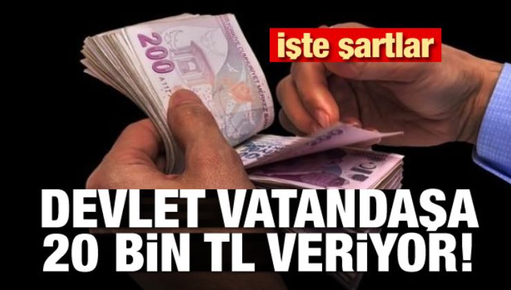 DEVLET VATANDAŞA 20 BİN TL VERECEK! İŞTE ŞARTLAR