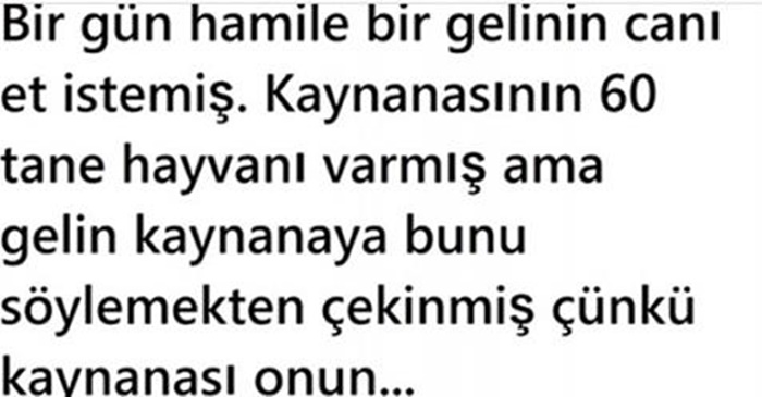 BİR GÜN HAMİLE BİR GELİNİN CANI ET İSTEMİŞ VE..