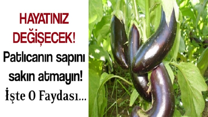 SAKIN PATLICANIN SAPINI ATMAYIN… MUCİZELER YARATIYOR