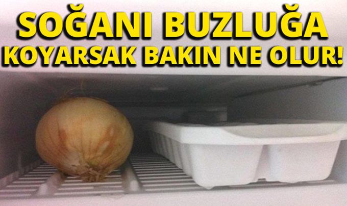 Soğanı Buzluğa Koyarsak Bakın Ne Olur?