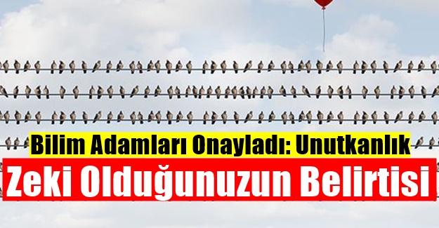 Zeki olduğunuzun bilimsel olarak kanıtlanmış 8 işareti