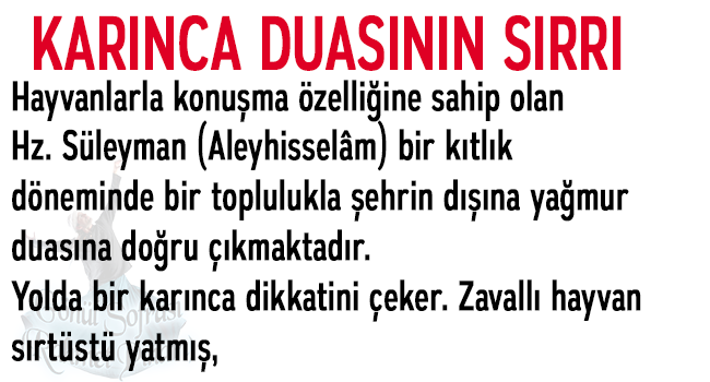 Karınca Duasının Sırrı