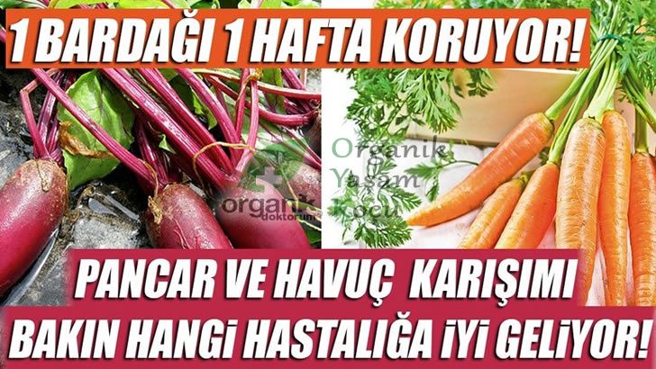 O Hastalığın Şifası Pancar ve Havuç Karışımı