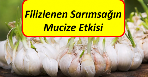 Bu bilgilerden sonra asla çöpe atmayacaksınız..!