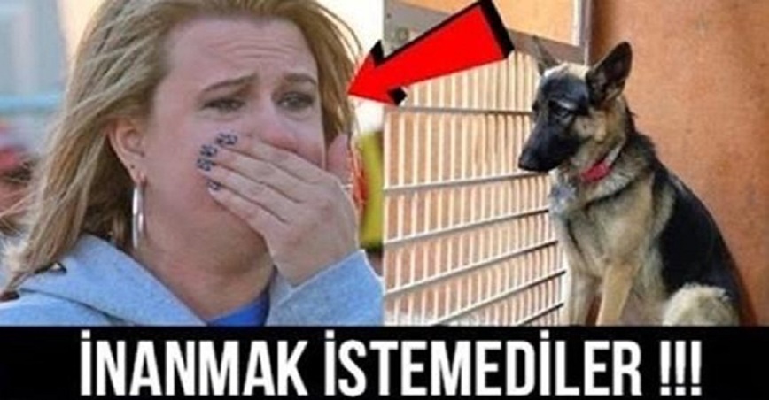 Sahipleri Uyurken Köpeğin Her Gece Yaptığını Görenler Gözyaşlarını Tutamadılar !!