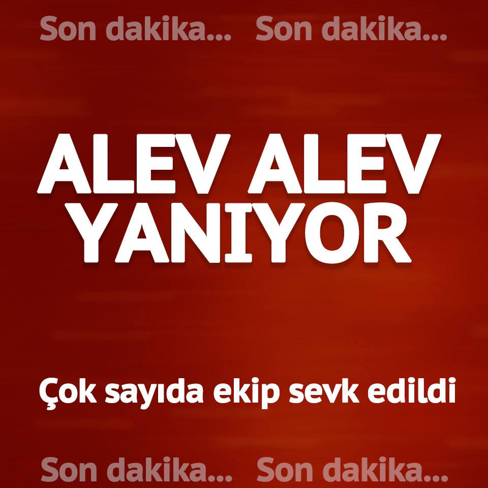 Orman alev aldı... Çevre illerden destek geldi...