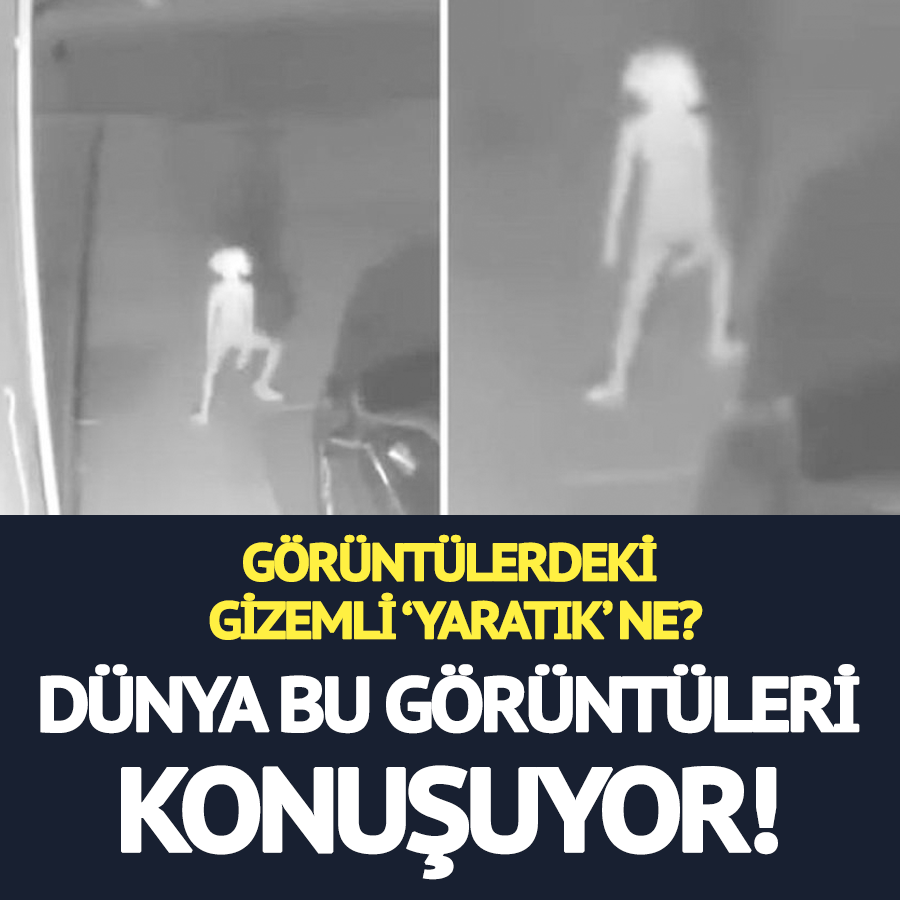 Görüntülerdeki gizemli ‘yaratık’ ne? Bu sorunun cevabı aranıyor