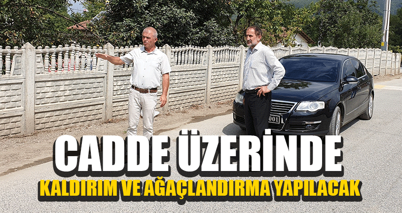 Cadde Üzerinde Kaldırım Ve Ağaçlandırma Yapılacak