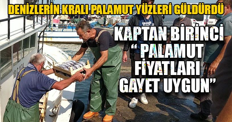 Denizlerin Kralı Palamut Yüzleri Güldürdü