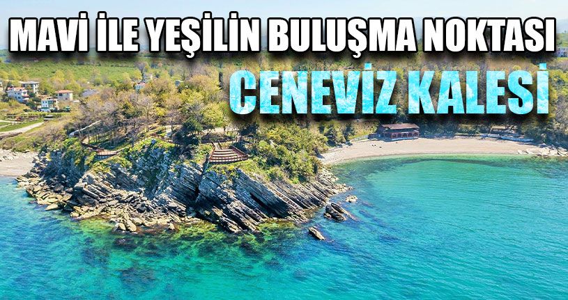 Mavi İle Yeşilin Buluşma Noktası