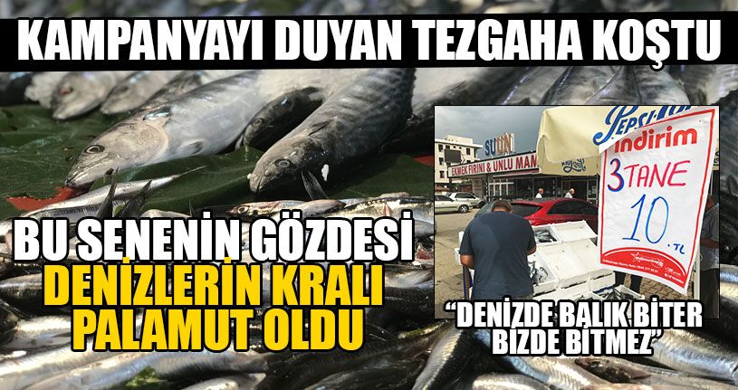 Kampanyayı Duyan Tezgaha Koştu