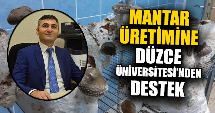 Mantar Üretimine Düzce Üniversitesi’nden Destek