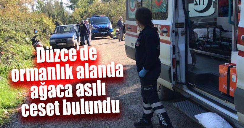 Ormanlık Alanda Ağaca Asılı Ceset Bulundu