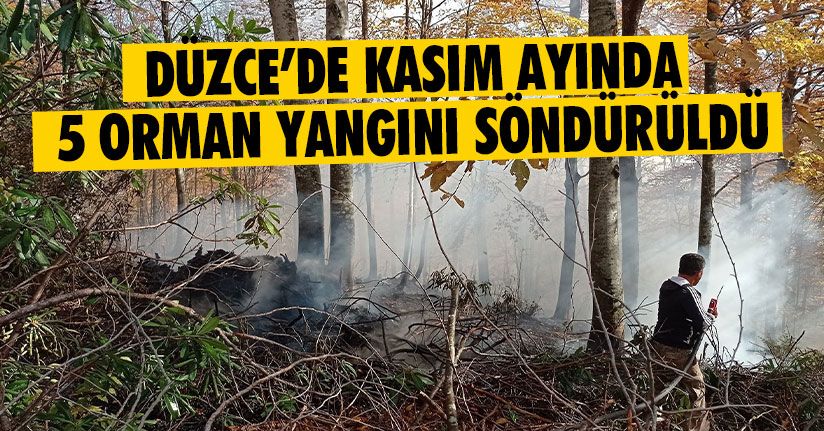 Düzce’de Kasım Ayında 5 Orman Yangını Söndürüldü