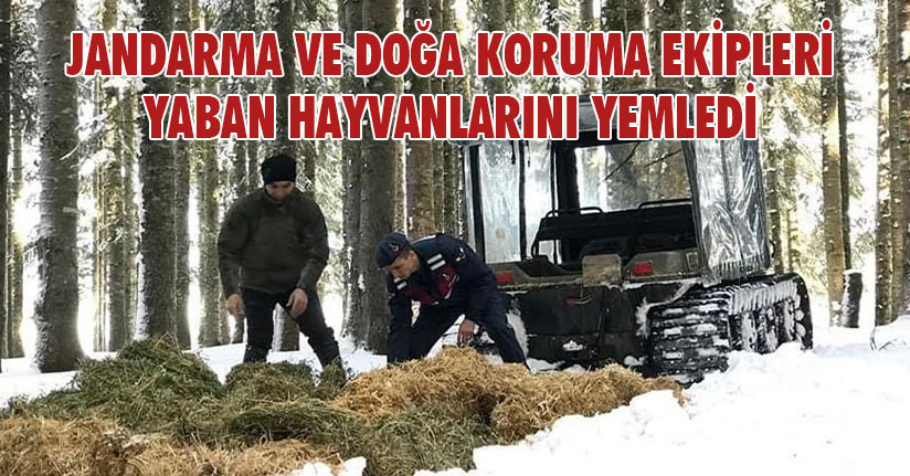 Yaban Hayat İçin Yemleme Çalışması Yapıldı