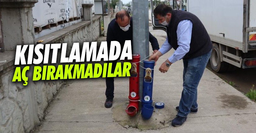 Sokak hayvanları kısıtlamada aç kalmadı