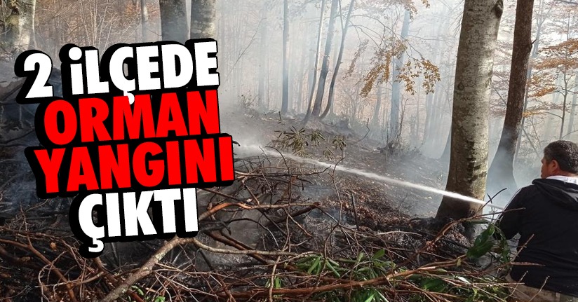 Yığılca ve Gümüşova'da orman yangını