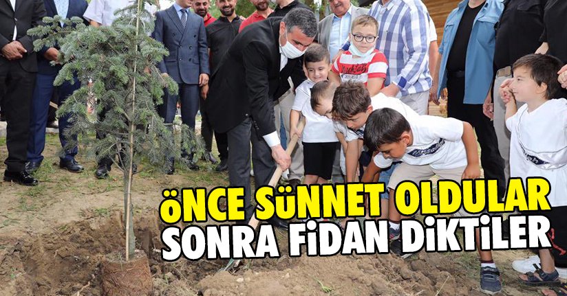 Sünnet şöleni sonrasında fidanlar toprakla buluştu