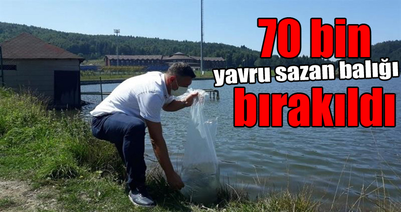 Göllere 70 bin yavru sazan balığı bırakıldı