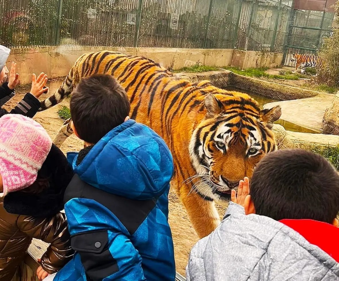 Ara Tatilde Doyasıya Eğlendiler