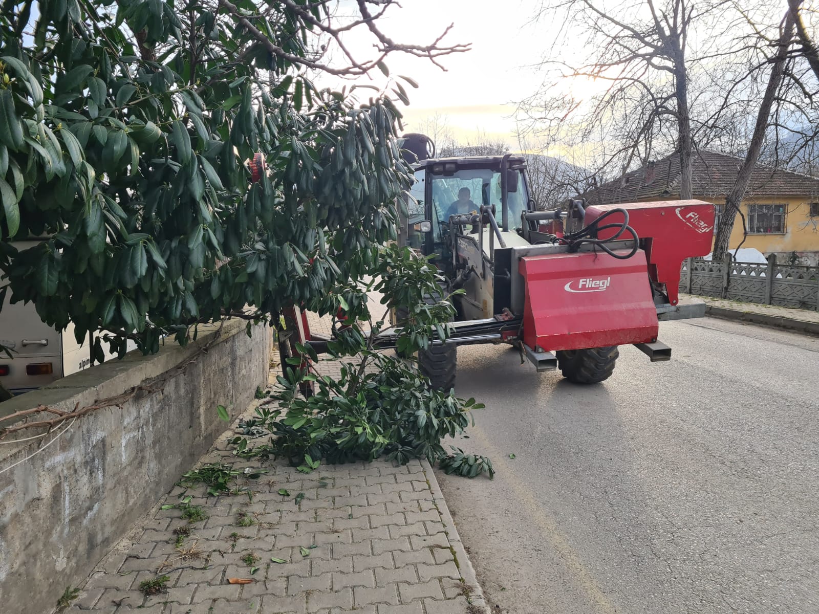 Kaldırımı kapatan ağaçlara budama