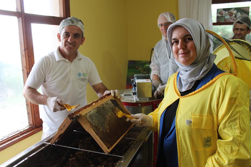 Arıcılar Kestane balı sağımı başladı