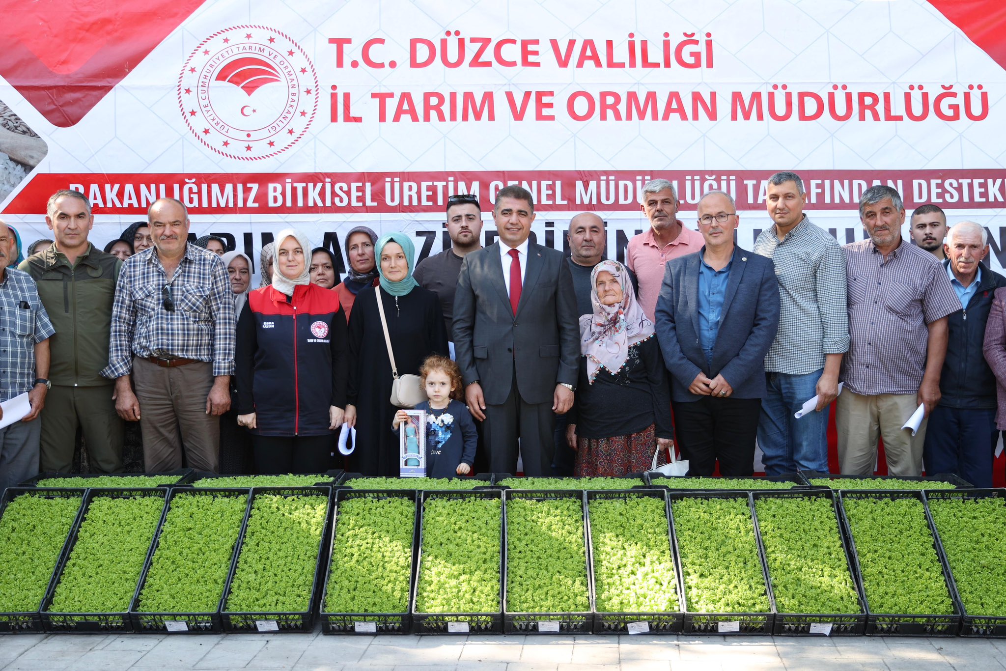 Düzce’de çiftçilere 250 bin marul fidesi dağıtıldı