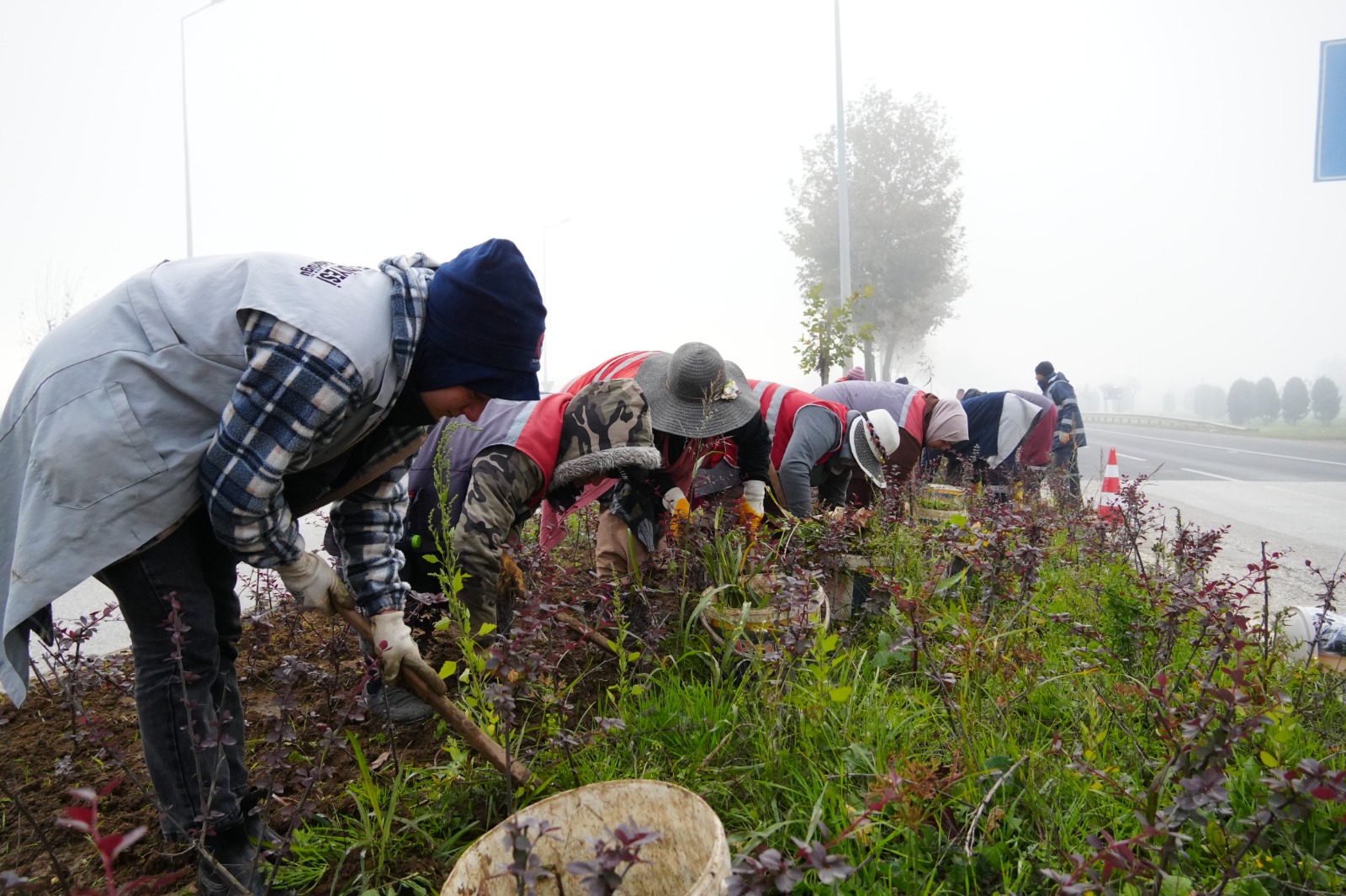 Düzce’de 851 ağaç, 382 bin mevsimlik çiçek dikildi