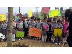 Esenyurt Belediyesi’nden Ağaç Dikimi