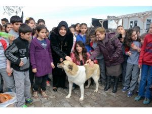 Öğrenciler Hayvan Rehabilitasyon Merkezini Ziyaret Etti