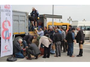 Türk Kızılayı Orta Karadeniz Kan Merkezi 5 Bin Fidan Dağıttı